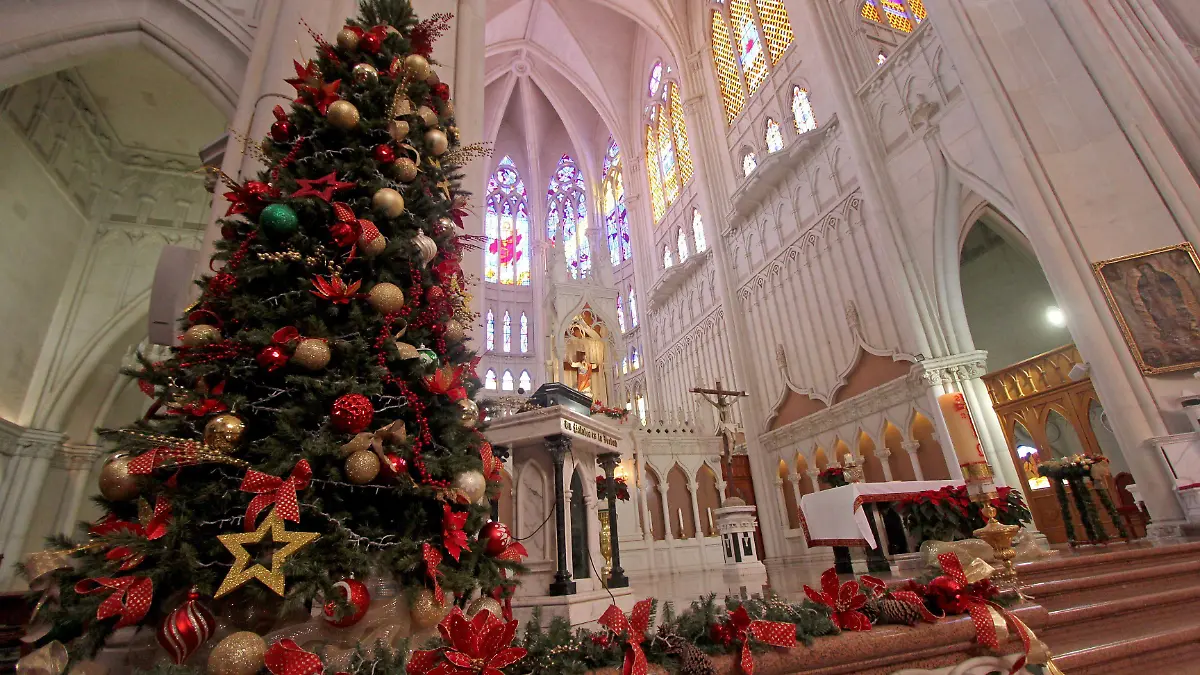 FCO MEZA - ARBOL DE NAVIDAD (6)